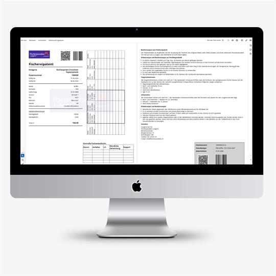 Online Statistik Layout