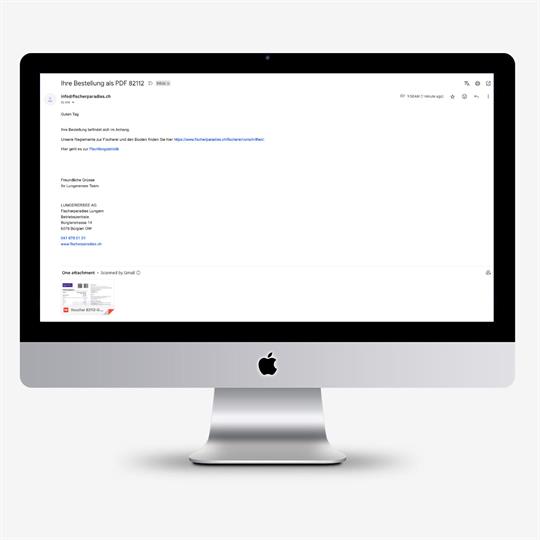 E-Mail Patent